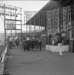 Scheda Manifestazione Pop 1970