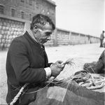 Scheda Pescatori