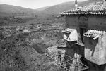Scheda CT - Ente di Colonizzazione - Azienda Bronte