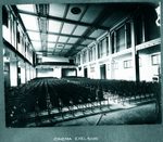 Scheda Cinema Exelsior