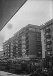 Scheda Questa Sicilia - Prima inchiesta sulle abitazioni - Baraccopoli