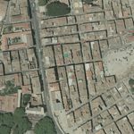 Scheda Papireto