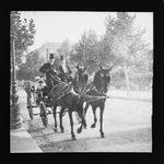 Scheda Palermo - Carrozza nel viale della Libertà