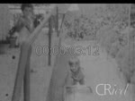 Scheda Famiglia Tedesco - bobina 18