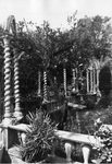 Scheda Bagheria - Villa Cirrincione - Particolare del giardino