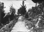 Scheda Castello Utveggio - Viale