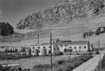 Scheda Chimica Arenella - Reparto lievito