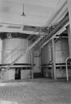 Scheda Chimica Arenella - Reparto lievito