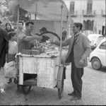 Scheda Venditore di frittola