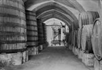 Scheda Stabilimento Cantine Florio