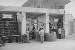 Scheda Fiera IV - Azienda di ristorazione