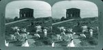 Scheda 37. A herd of goats. at Temple of Concord. Girgenti. Sicily
