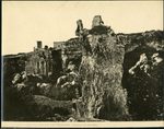 Scheda N. 1427 - Siracusa - Latomia del Paradiso