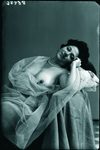 Scheda Nudo