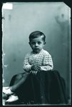 Scheda Bambino