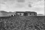 Scheda Ente di Colonizzazione del Latifondo Siciliano - Ribera - Masseria