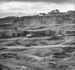 Scheda Arenella - Terreno