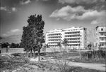 Scheda Immobiliare - Case via Giusti