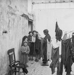 Scheda Chiarezza - Vita di famiglie - Borgo Nuovo