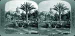 Scheda 8. Plazza Vittoria Garden and Cathedral. Palermo. Sicily