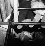 Scheda Manifestazione Pop 1970