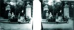 Scheda Palermo - Orto Botanico