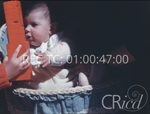 Scheda Famiglia Denaro - bobina 31