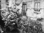 Scheda Sig. Pisciotta - Casa via Brunetto Latini