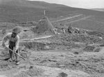 Scheda Ente di Colonizzazione - Vita contadina - Falciatura