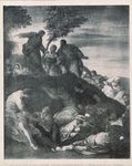 Scheda N. 19922 Palermo - Collezione Chiaramonte Bordonaro. La Moltiplicazione dei pani (Tintoretto) (Ed.ne Alinari)