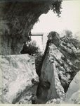 Scheda N. 9812 Siracusa - Contorni. Latomia dei Cappuccini (Ed.ne Alinari)