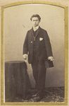 Scheda Steinbach