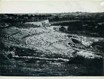 Scheda N. 358 Siracusa - Teatro Greco (G. Incorpora - Palermo)