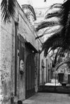 Scheda Bagheria - Villa Coglitore - Esterno