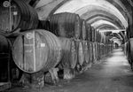 Scheda Marsala - Cantine Florio