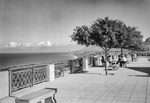 Scheda Casales - Altavilla Milicia - Belvedere