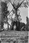 Scheda Gruppo a Roma - Famiglia Bronzetti