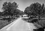Scheda ANAS - Strada