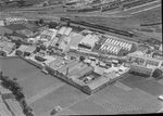 Scheda Palermo - Fabbrica calzaturificio Vitale - Veduta aerea