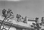 Scheda Bagheria - Villa Palagonia - Statue