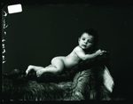 Scheda Bambina