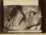 Scheda N. 160 - Palermo - Museo - Metope - Gigante e Divinità