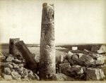 Scheda N. 9152 ord. 38 - Selinunte - Tempio di Apollo