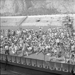 Scheda Manifestazione Pop 1970